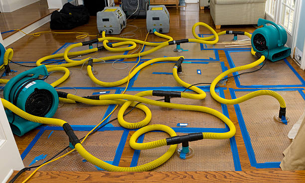 Professional Burst Pipe Water Damage technician working in Oakton, VA